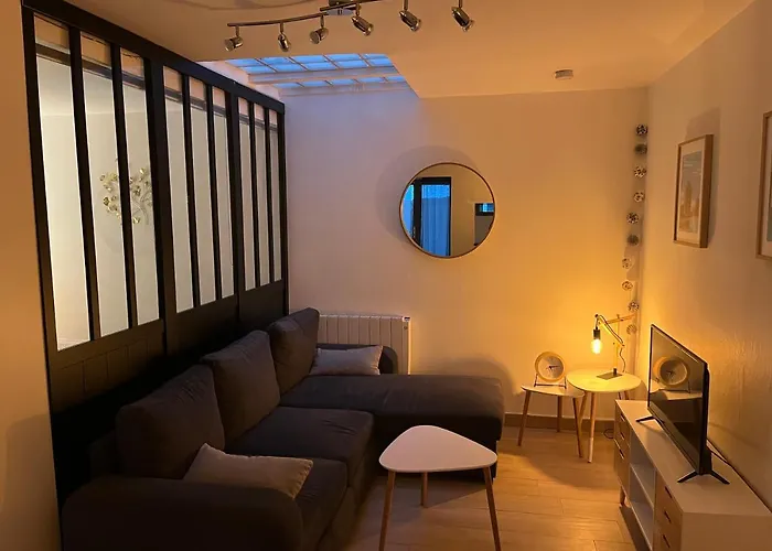 Logement Cosy Avec Terrasse Privee Hypercentre
